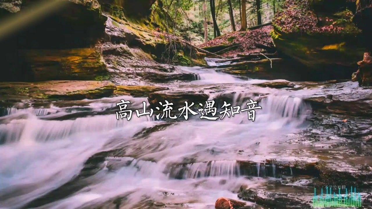暗黑精灵幽影重重